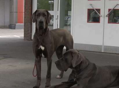 Mary mit Santana in Dortmund