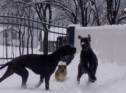 Besuch bei Papa im Winter 2013