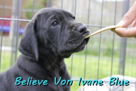 Believe Von Ivane Blue